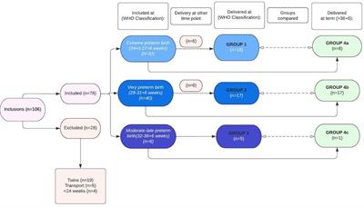 Detection of spontaneous preterm birth by maternal urinary volatile <mark class="highlighted">organic compound</mark> analysis: A prospective cohort study